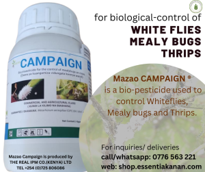 Mazao CAMPAIGN for biological control of white flies, mealybugs and thrips.